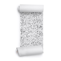 PLAKATITE KOMPLEKT 5 tk, rullis